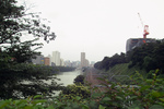 IMG06577.jpg